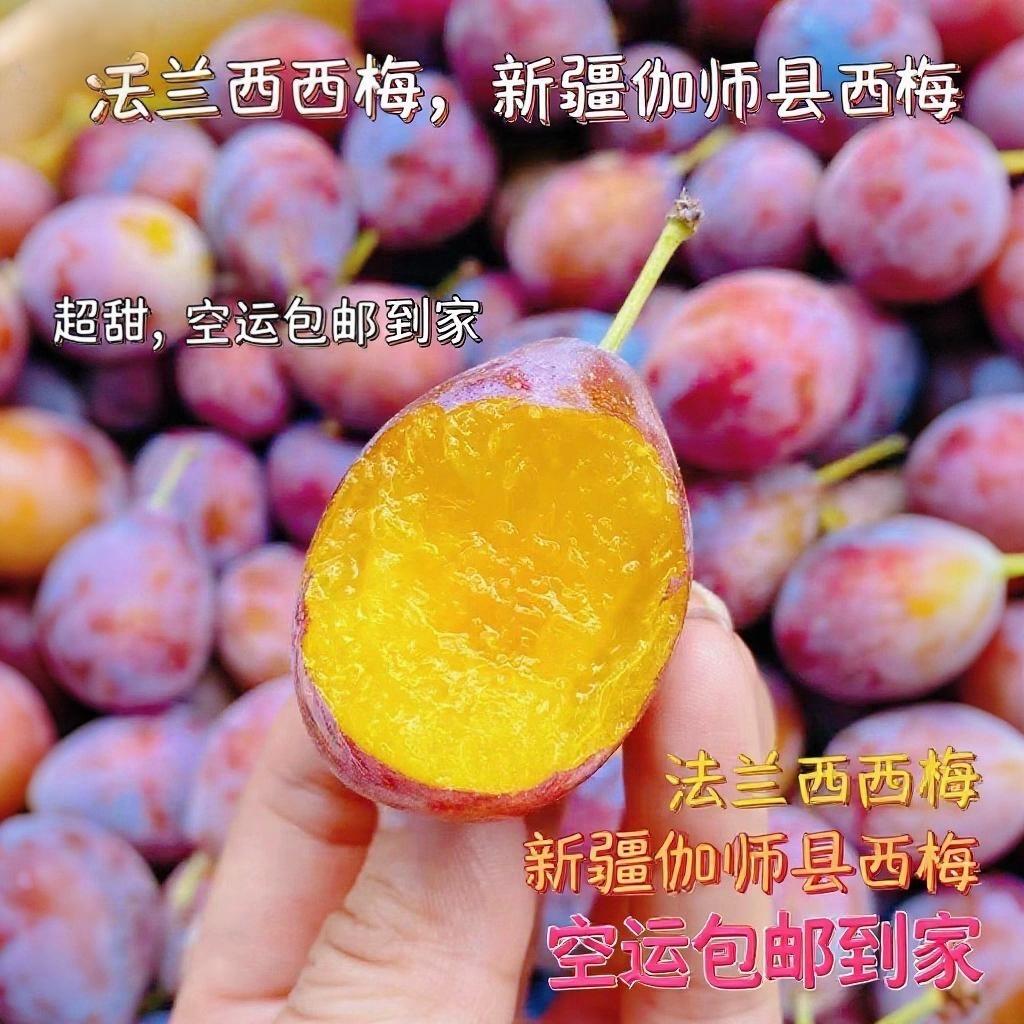 阿达希的果园
