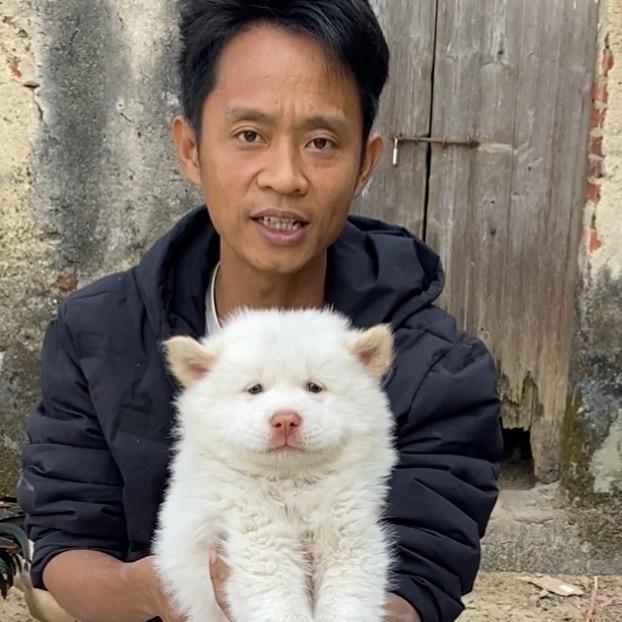 狗兄猫弟