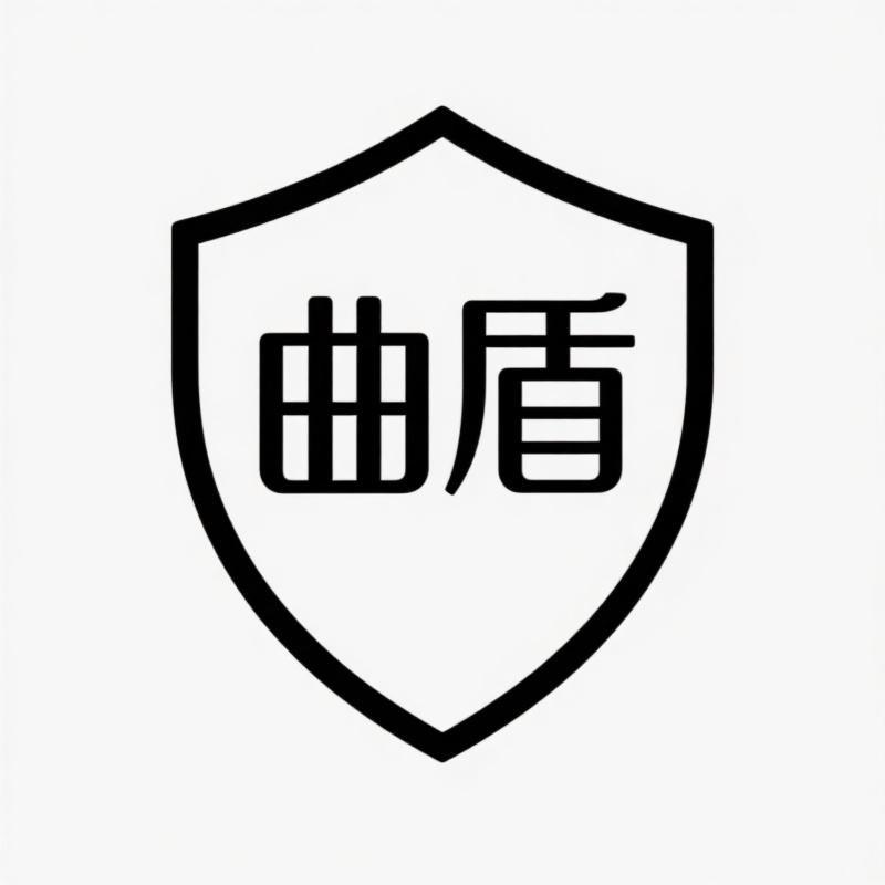曲盾轻奢潮牌服饰
