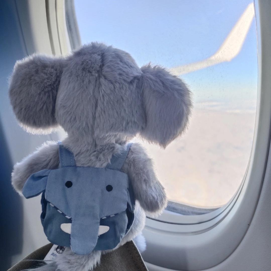 骑着大象飞飞飞