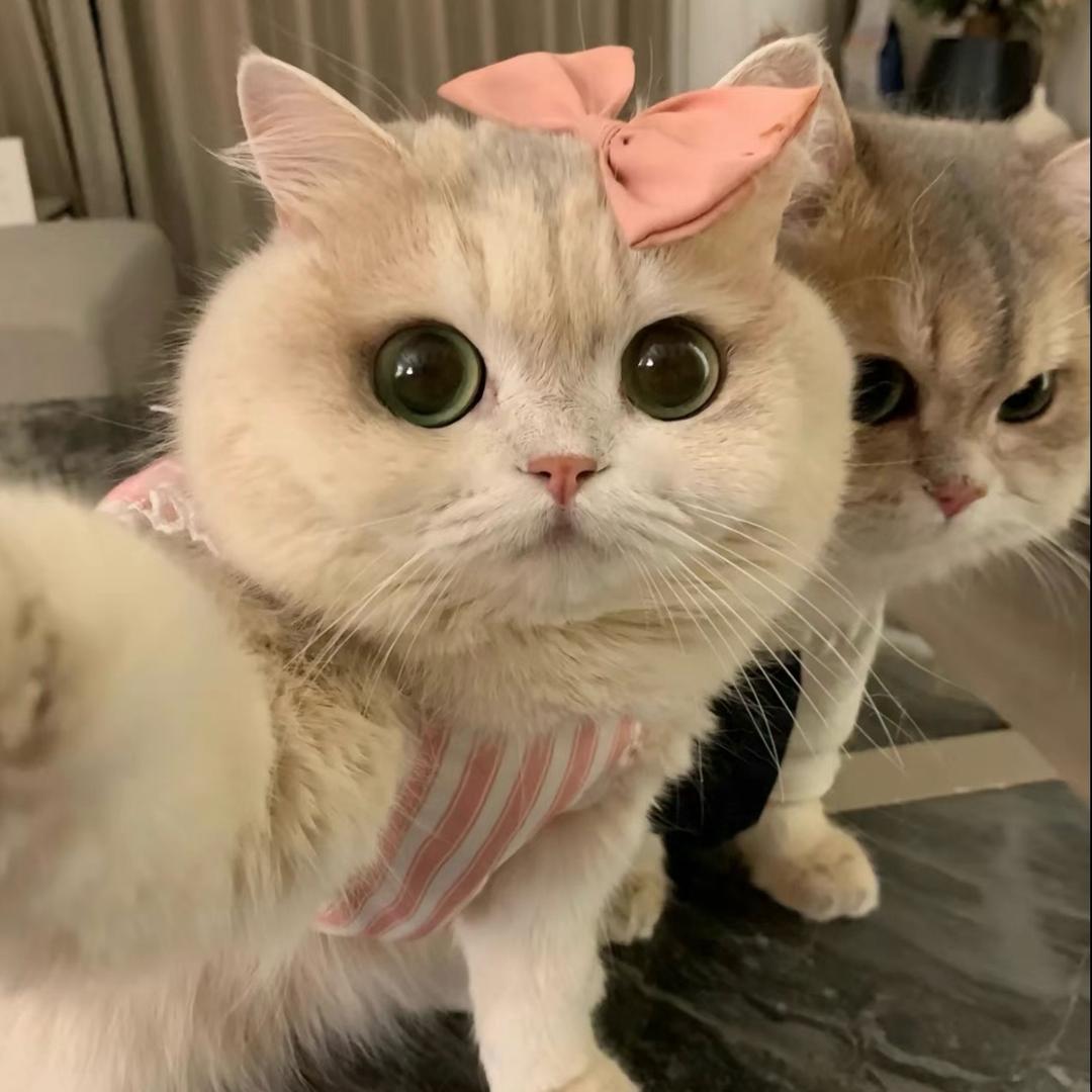 🌈文静少女😎