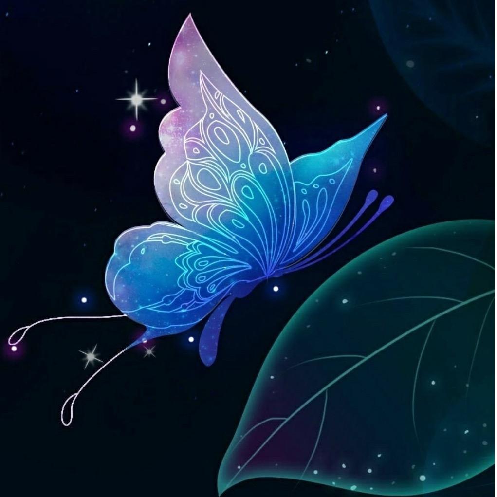 🦋༺❀ൢ༒❀ൢ༻🦋