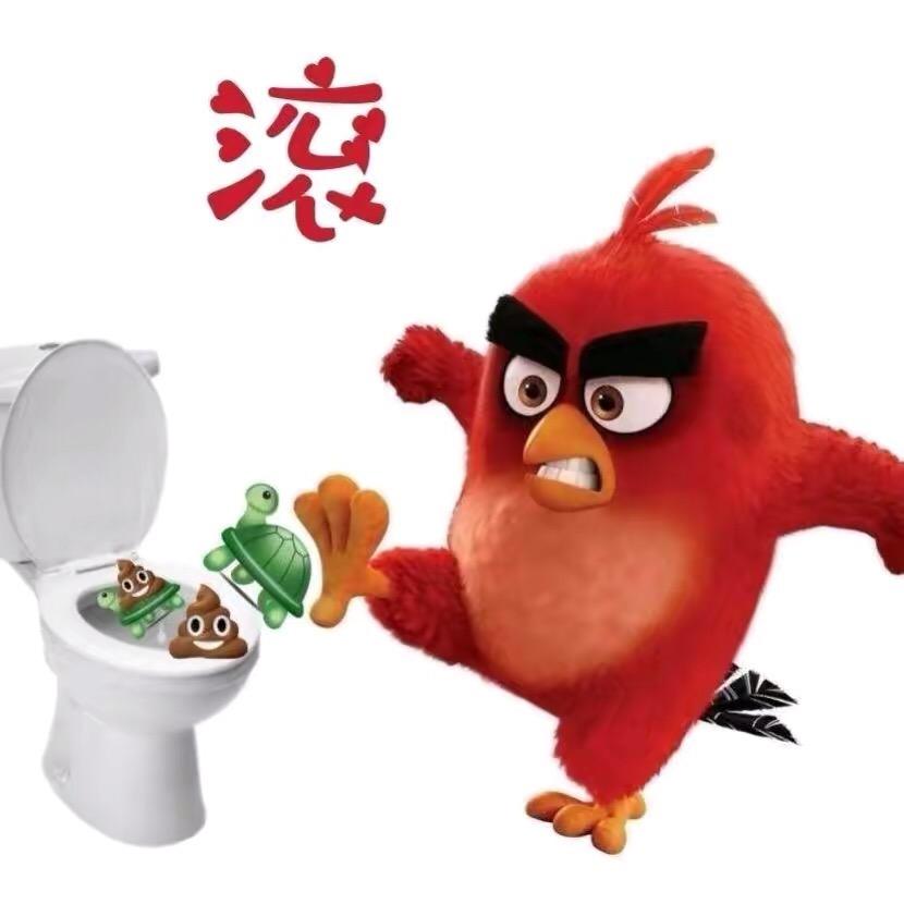战战的小肥虾养殖基地