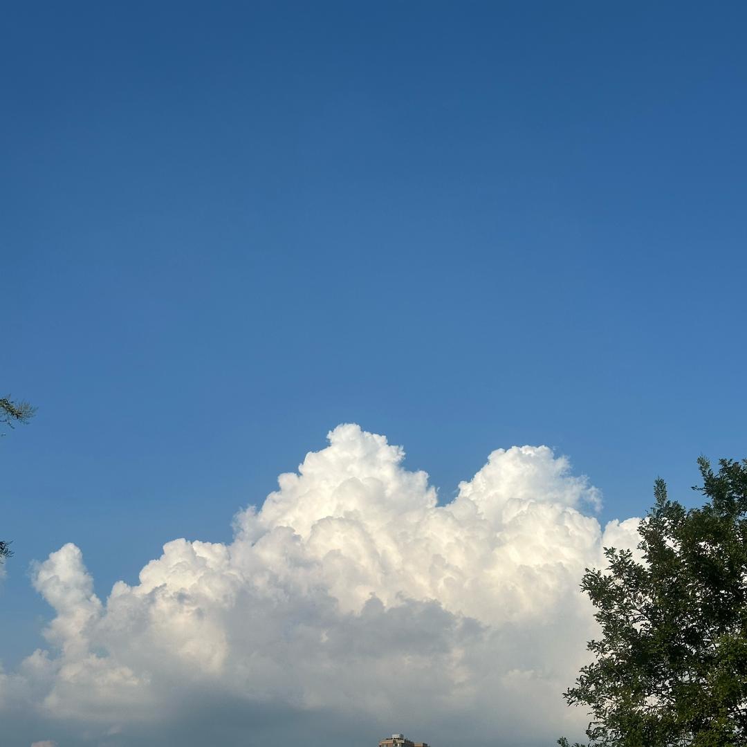 也无风雨也无晴