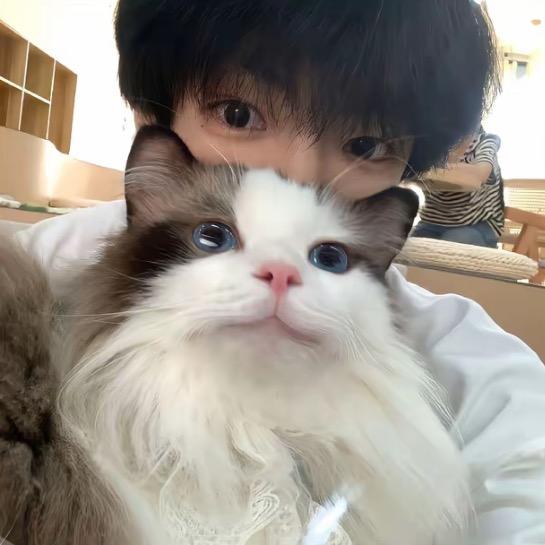 杨杨得亿