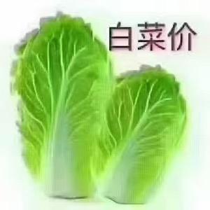 人生若只如初见