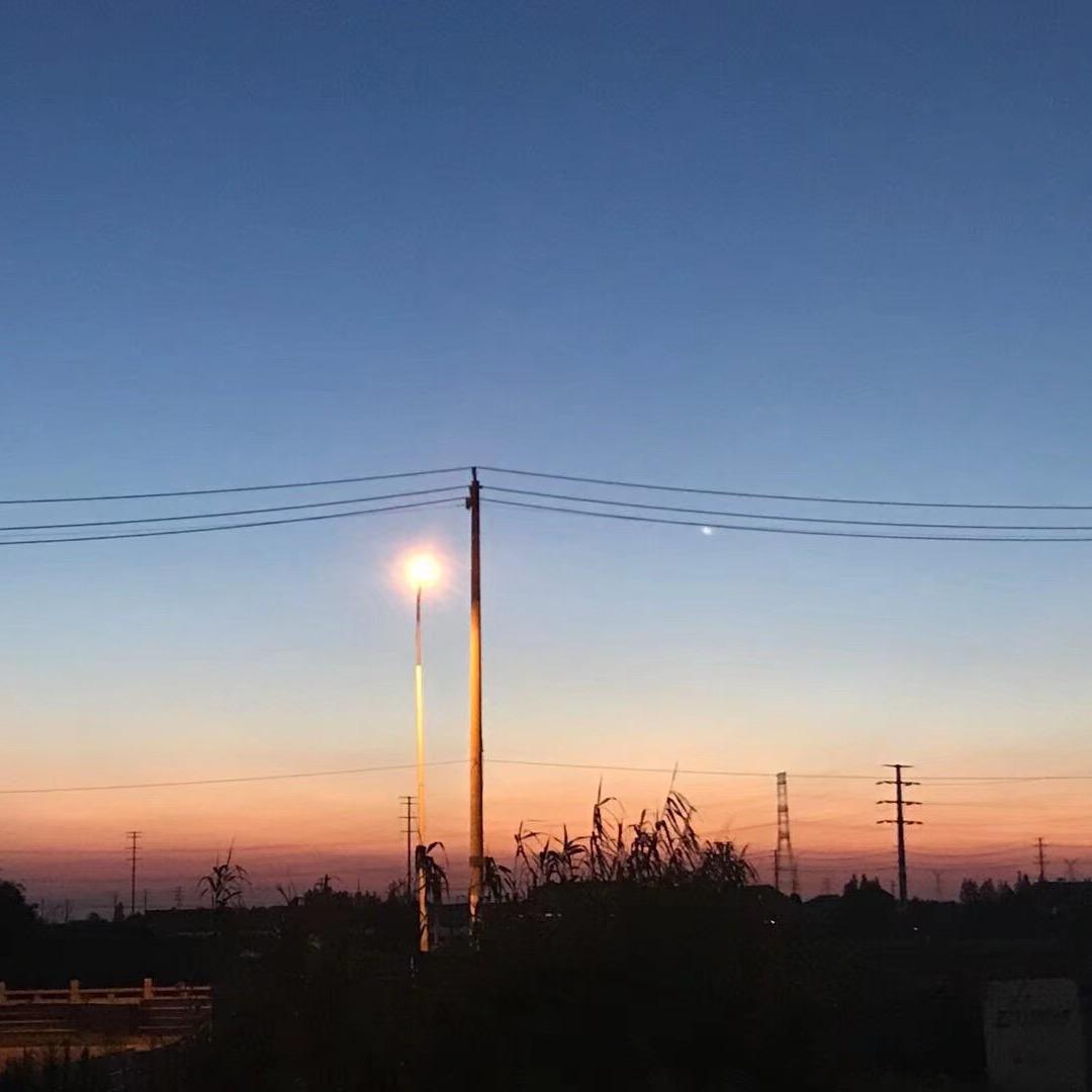 重生之减肥经常误食红烧肉……