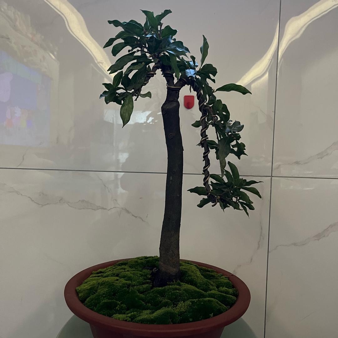 ᝰꫛ时来ಇ᭄运转ღꦿ࿐: