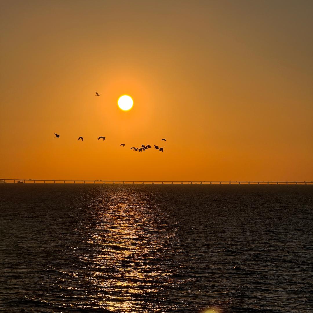 泛崇光的海棠