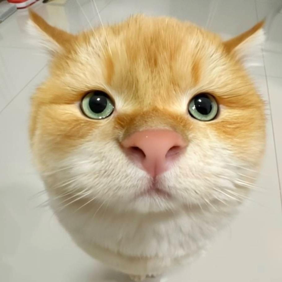 果果果