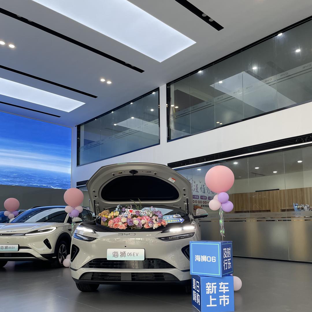 BYD安徽联昊合耀店