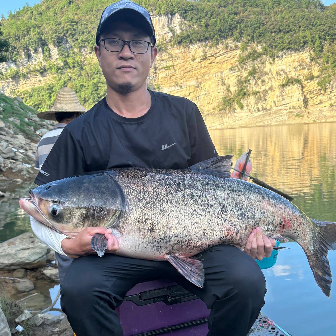 亚军  鲢鳙补给站