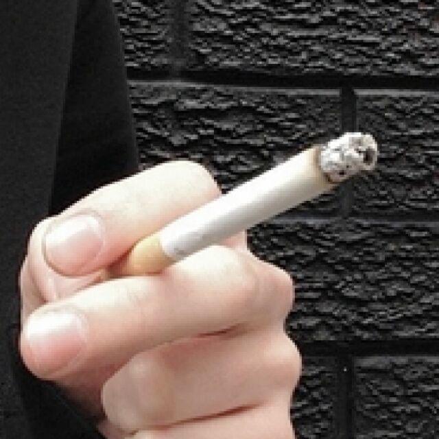 香菜螺蛳
