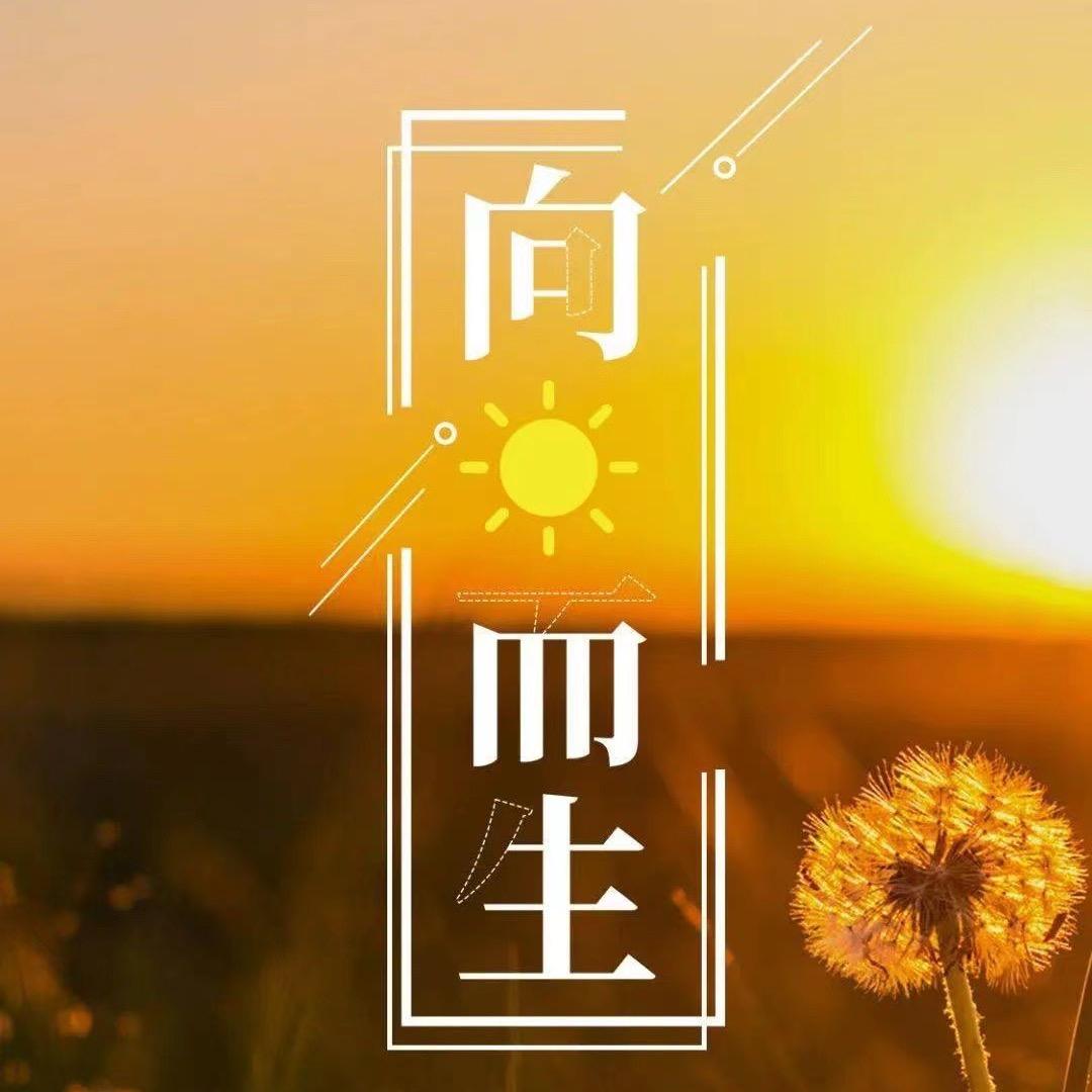 北巷清茶