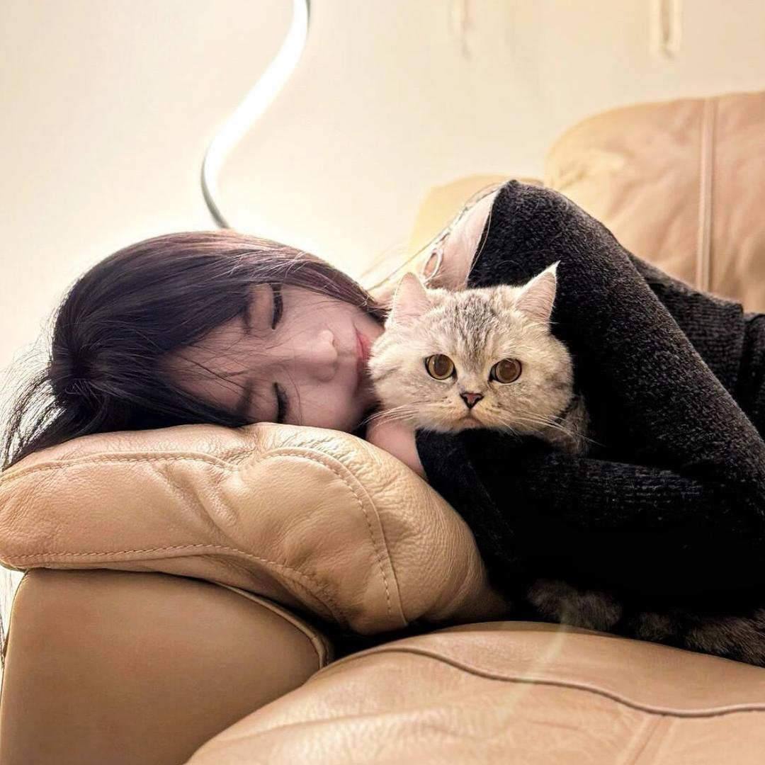 ㅤㅤㅤㅤㅤㅤㅤㅤㅤ