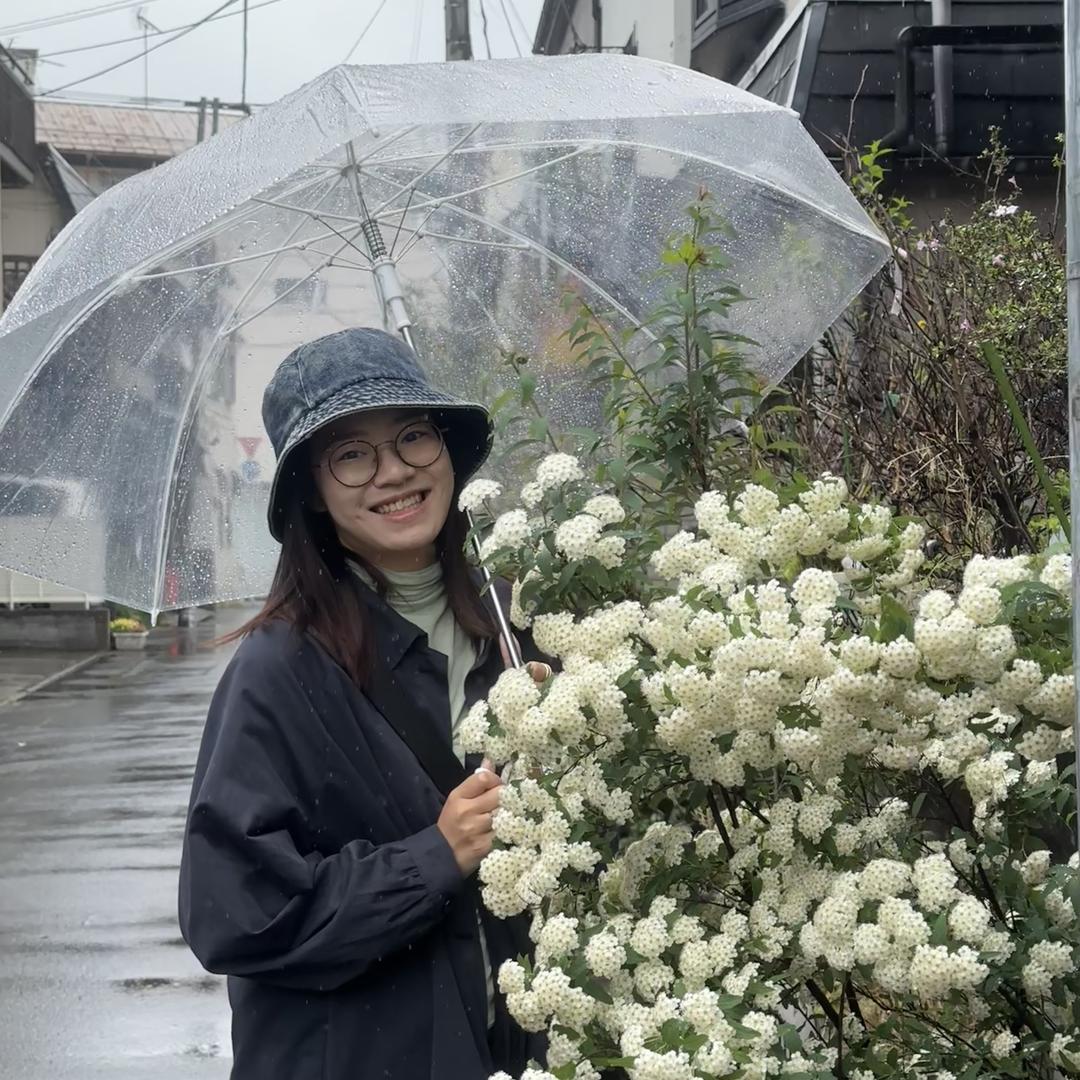 The Petal蝴蝶效应