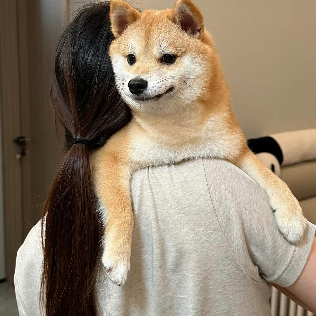 不煲电话粥🥣˖º·˚