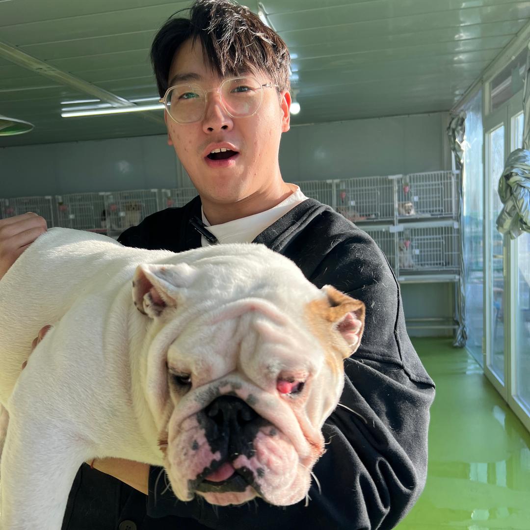 大增增养宠攻略（专注中华田园犬）