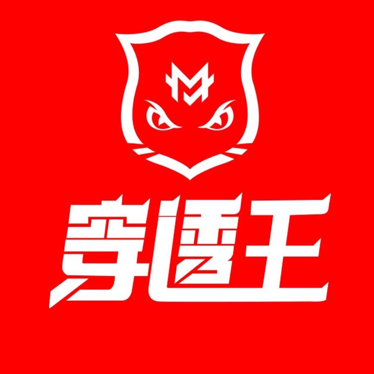穿透王安徽专卖店