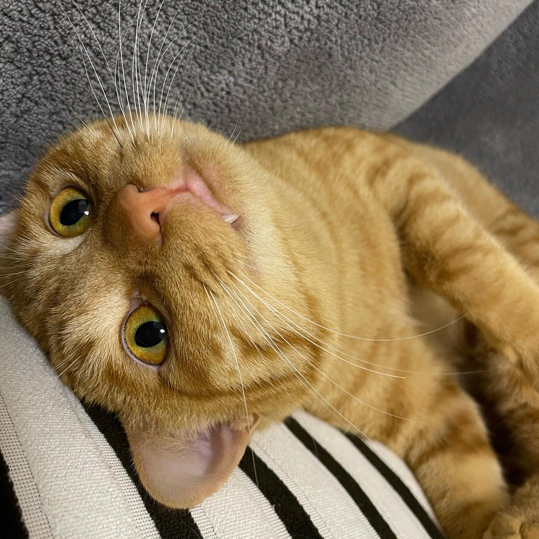 汉堡薯饼好好吃😋