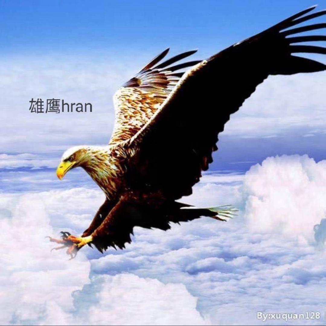 hran雄鹰