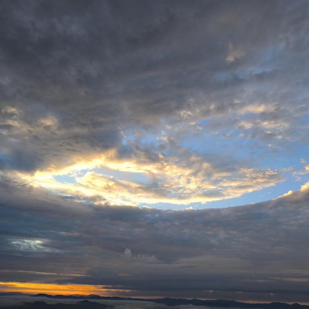 喜乐鼠数码严选