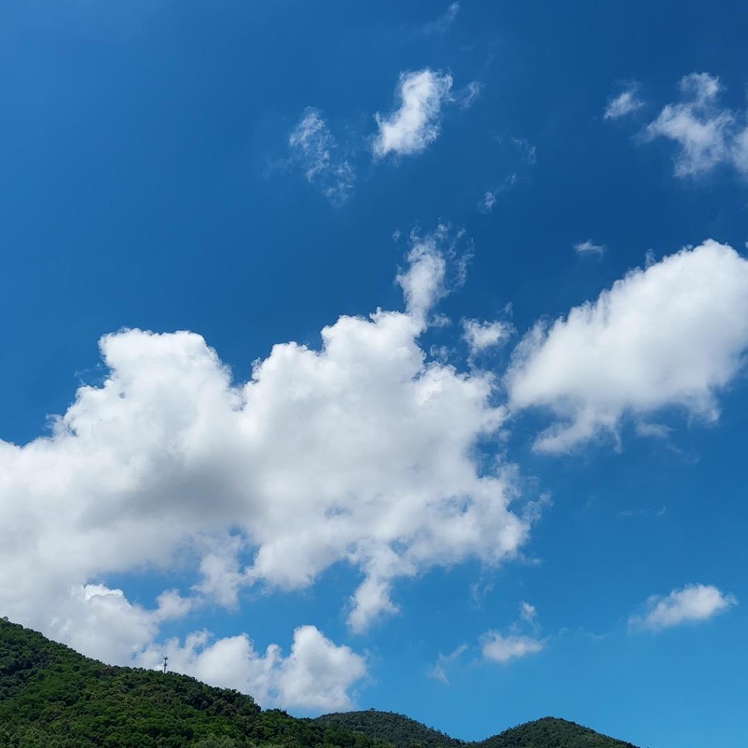 水似年华