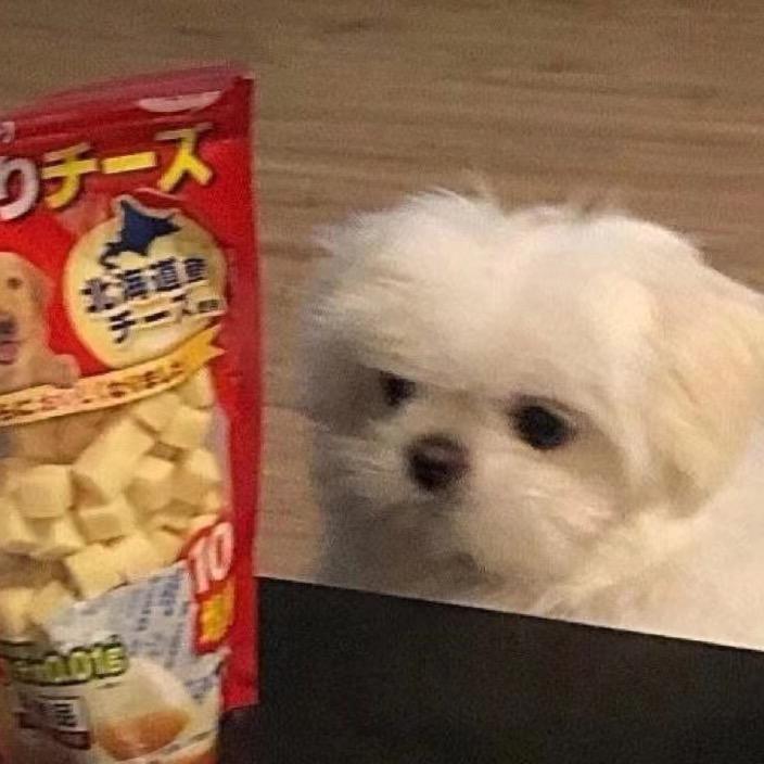 鸡蛋番茄炒饭