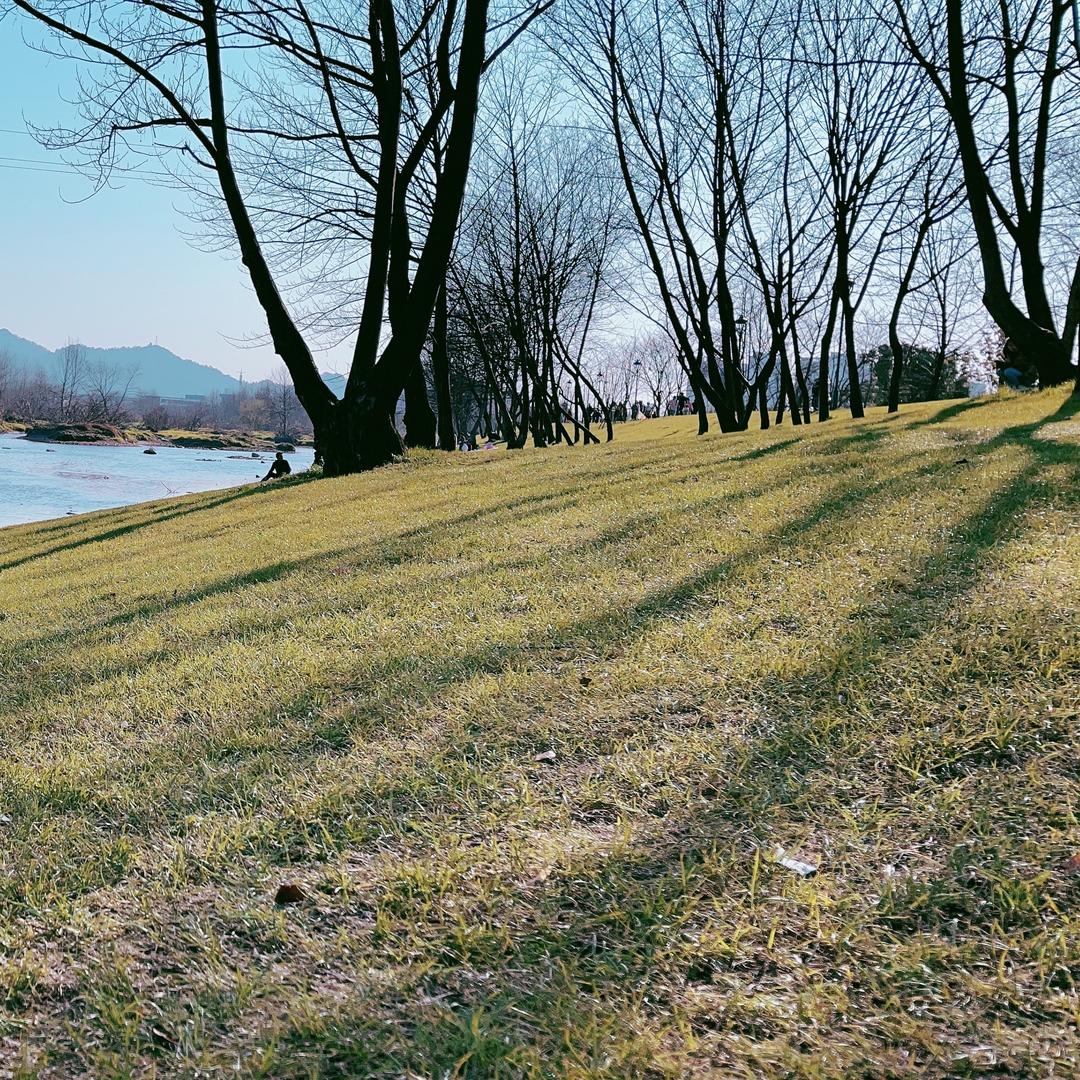 用户名23962631头像