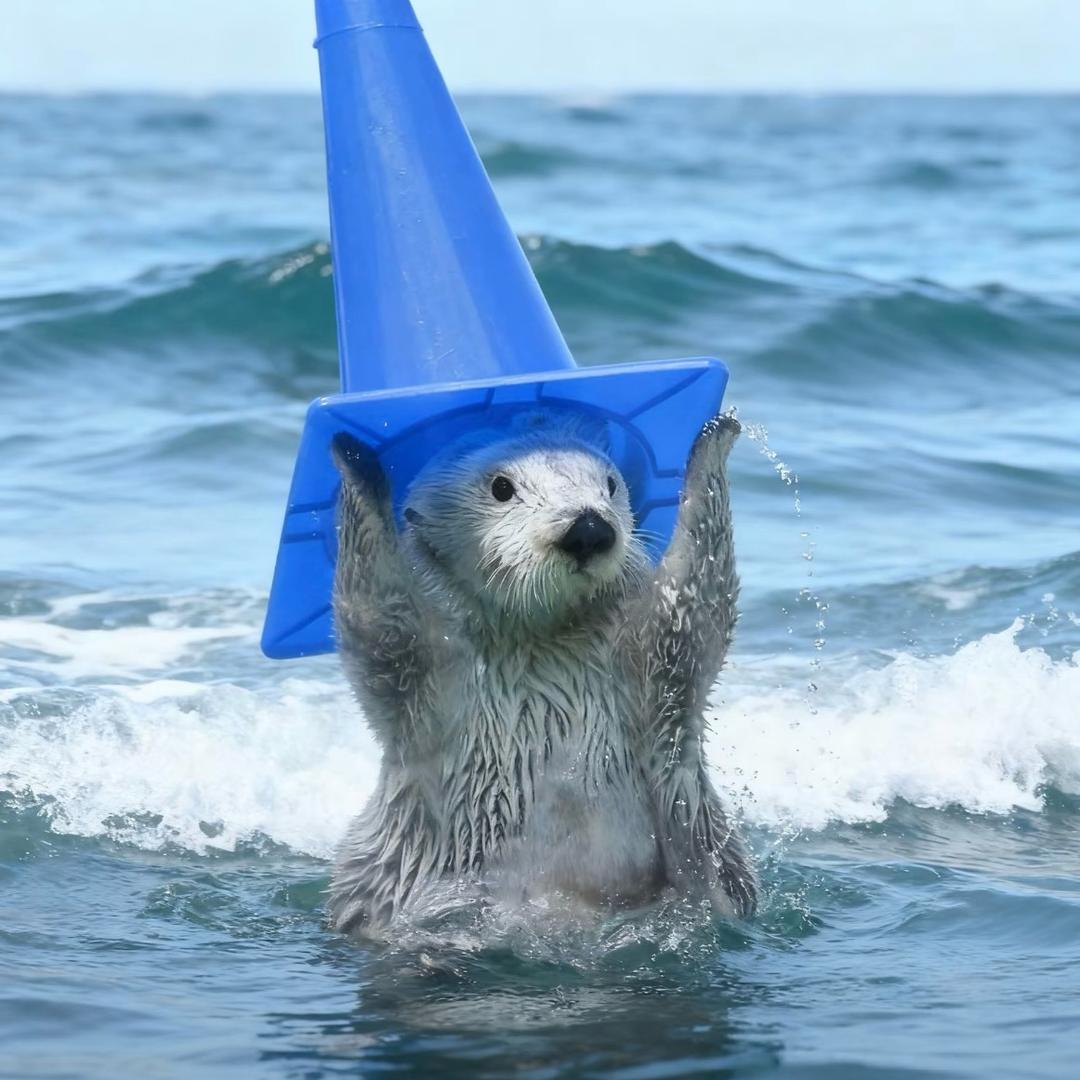 美女爱做白日梦