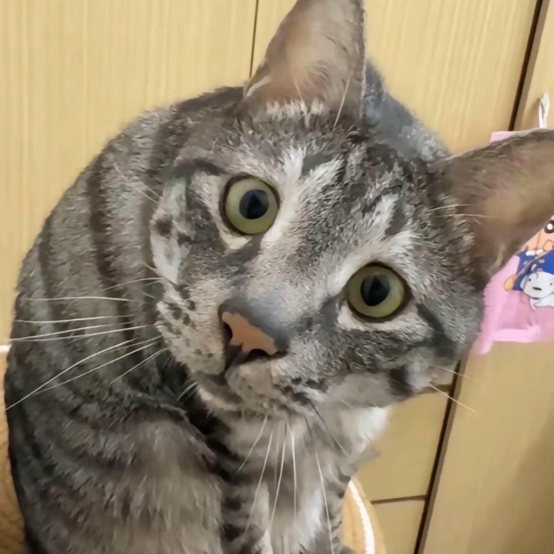 ooooo