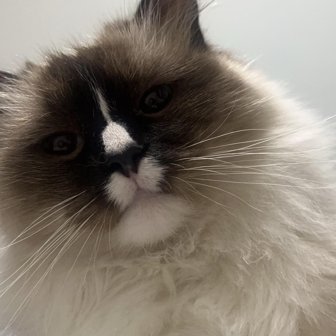 重生之我在九机当小兵