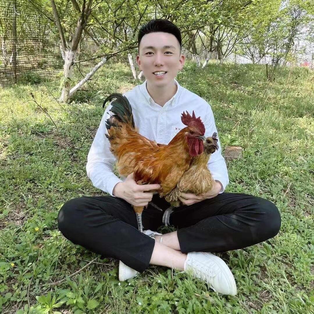 农销销(天天收土鸡🐔)