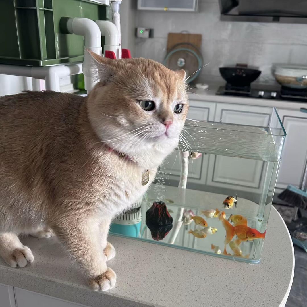 八方来财 十全十美