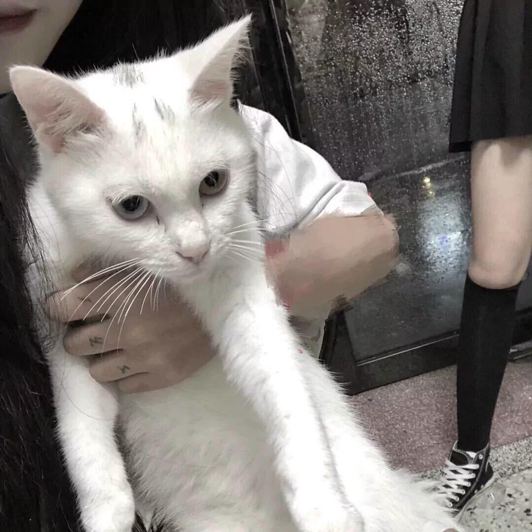 Tao