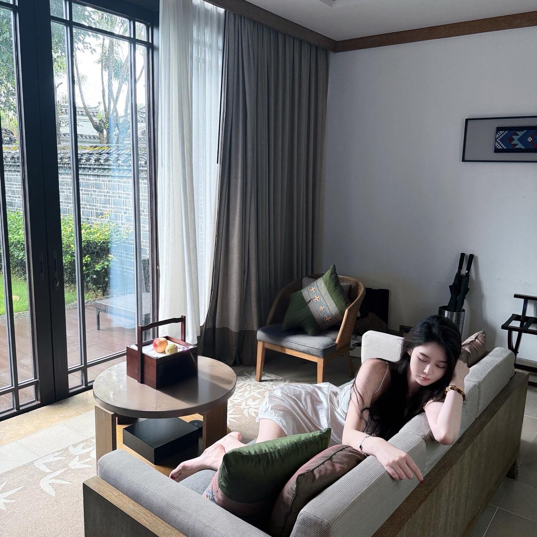 一个树懒
