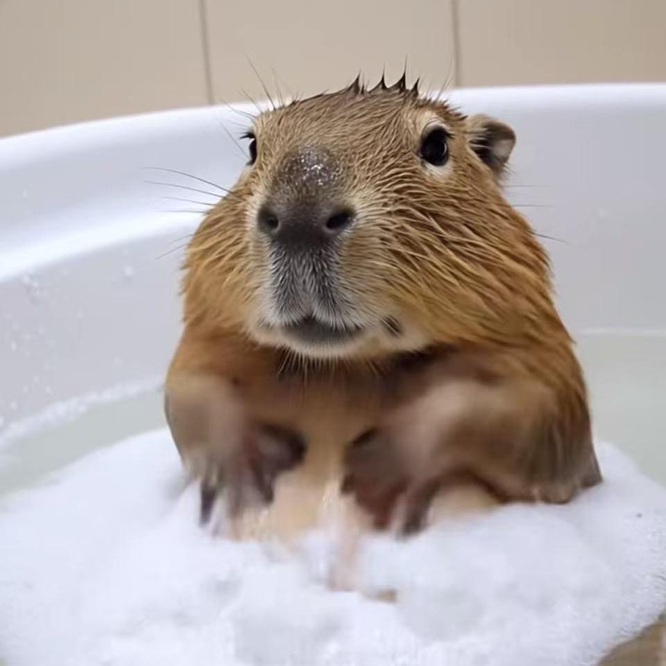 逸净城网红酒店·足道SPA