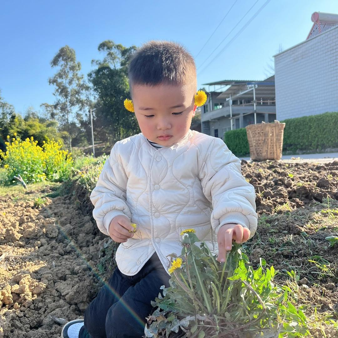 豆豆吧啦吧啦
