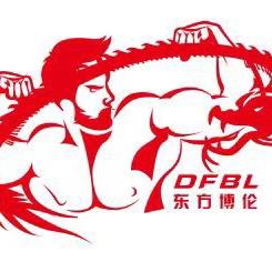 东方博伦武术散打搏击总部