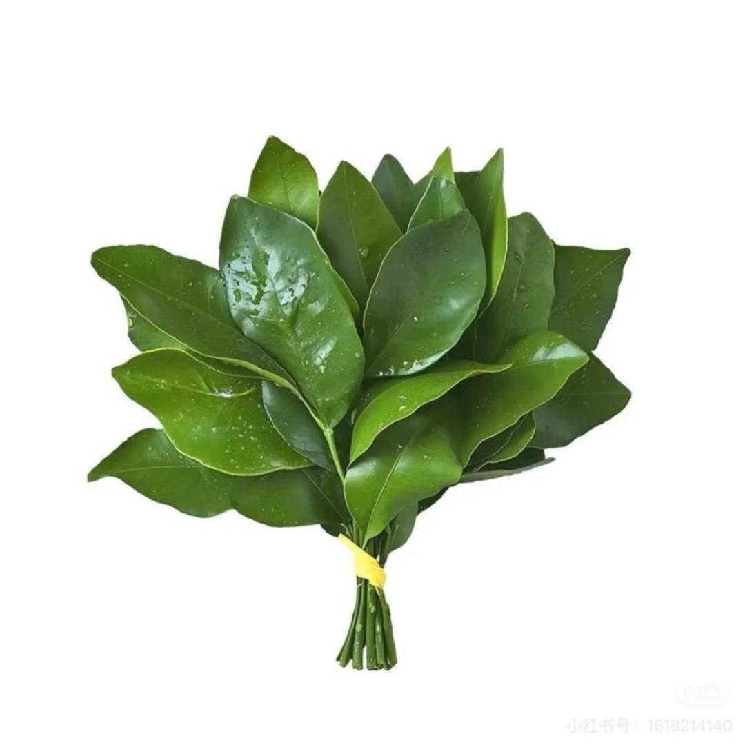 玲子