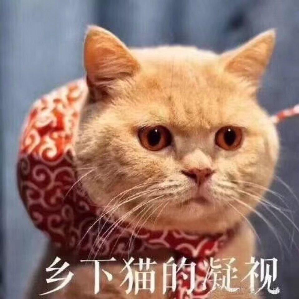 super贝吉塔