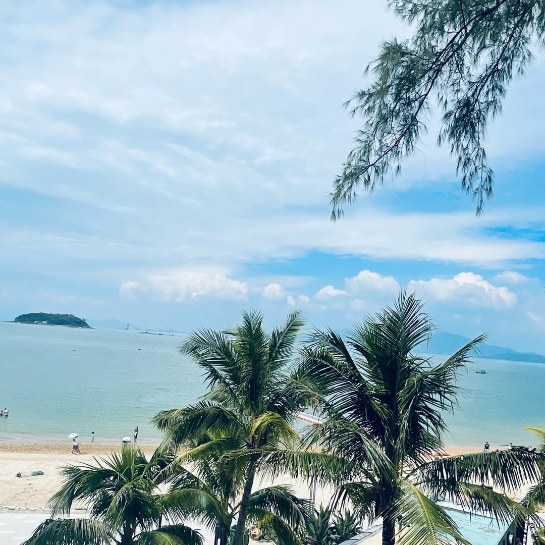 随风飘摇