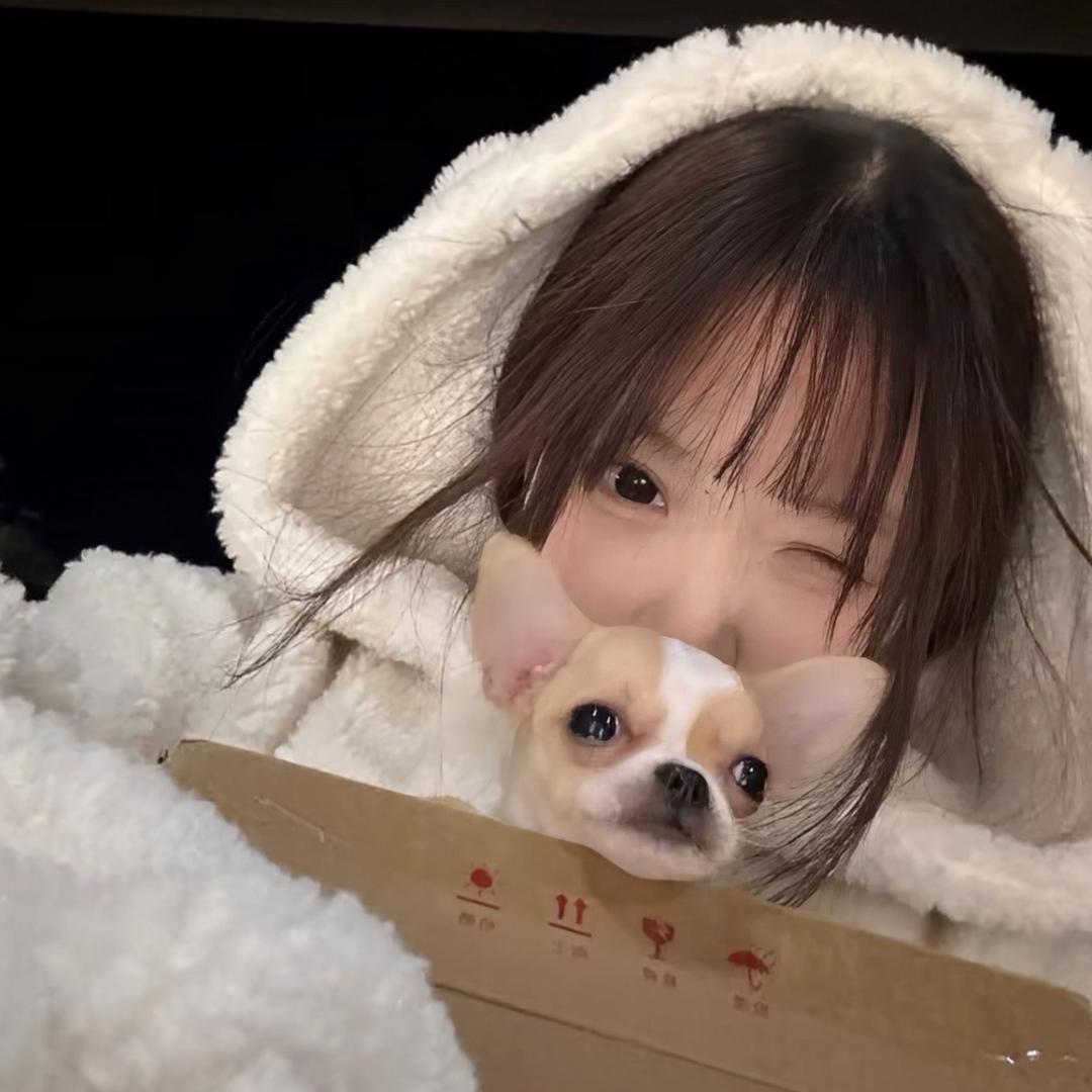 我系薯条