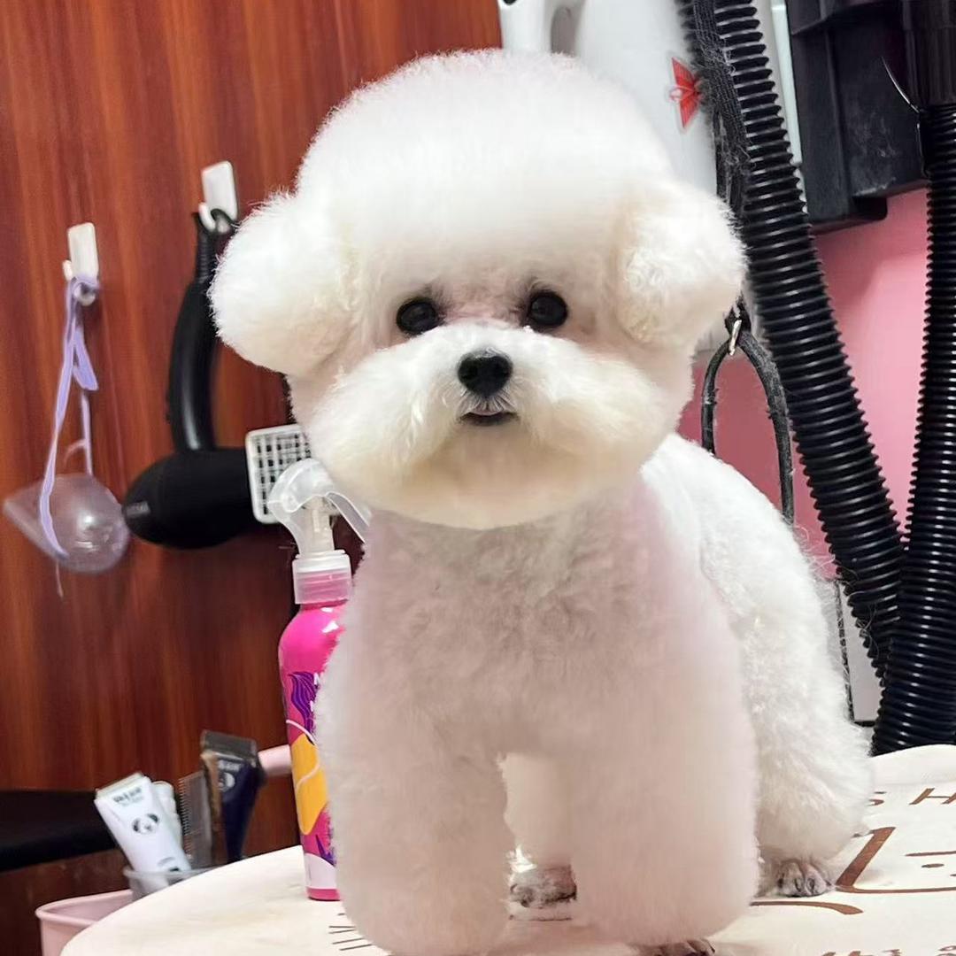 宠物狗窝垫子(私宠）