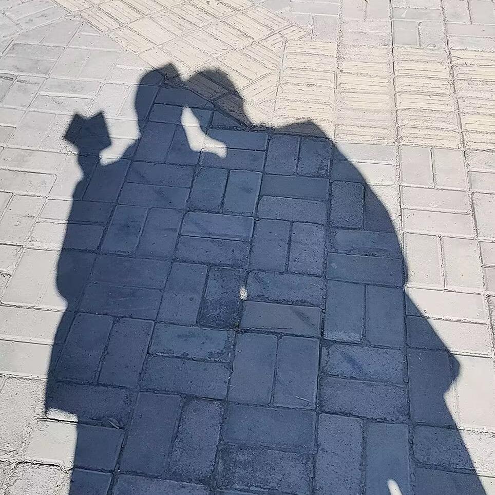 南柯梦