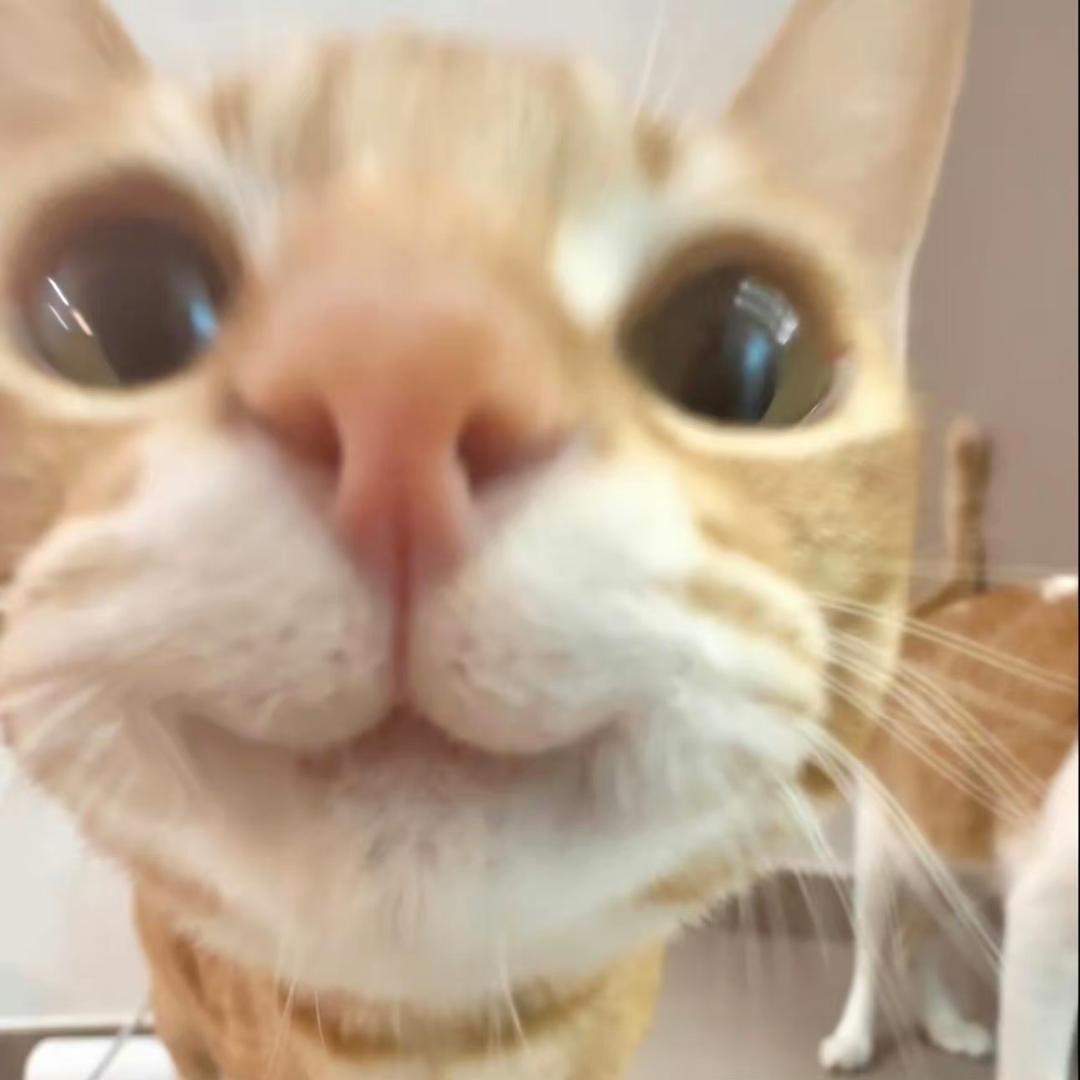 零五