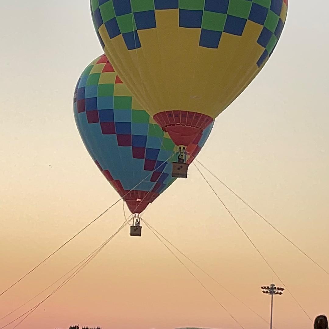 努力生活爱呱呱🍉