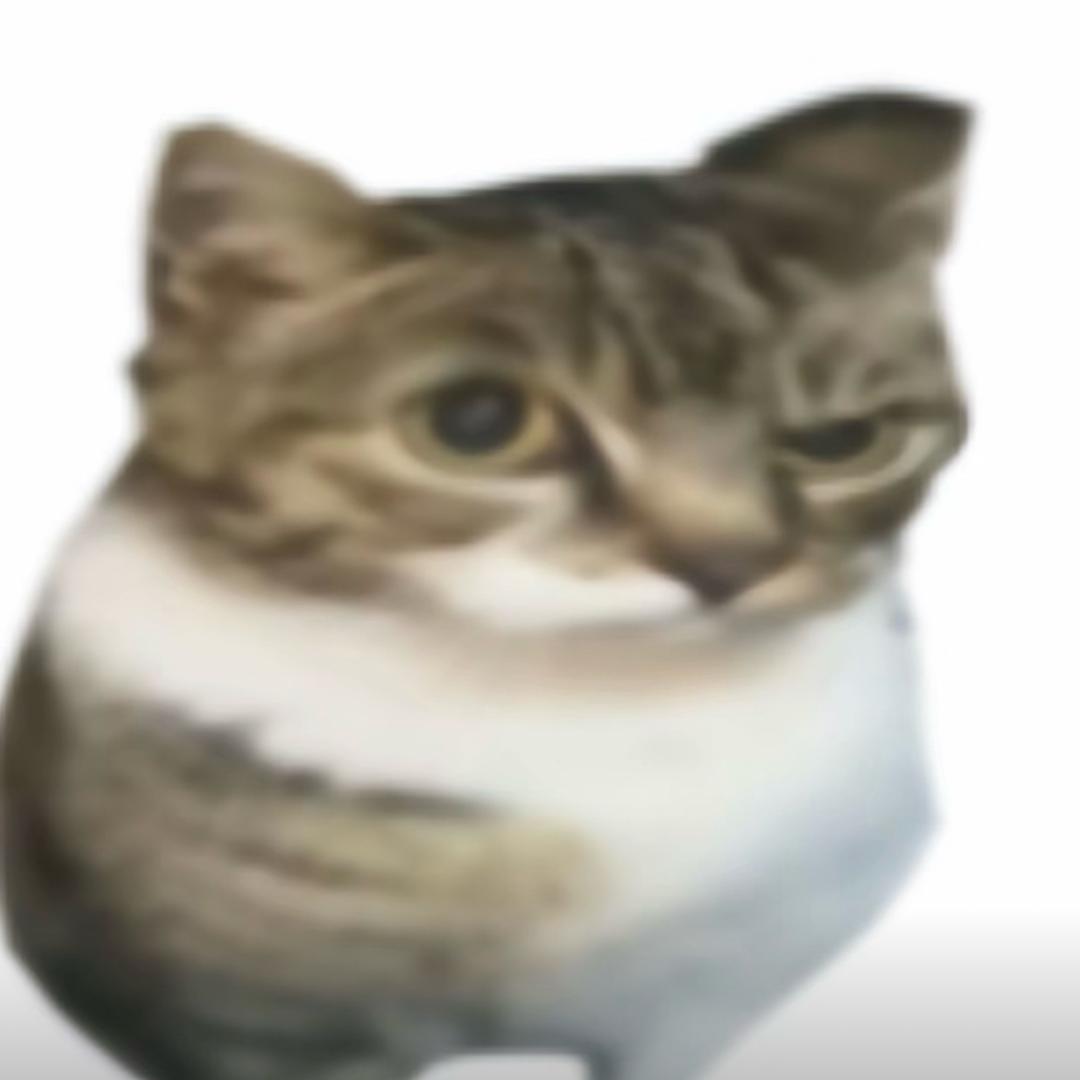 Zcxchffgf11124