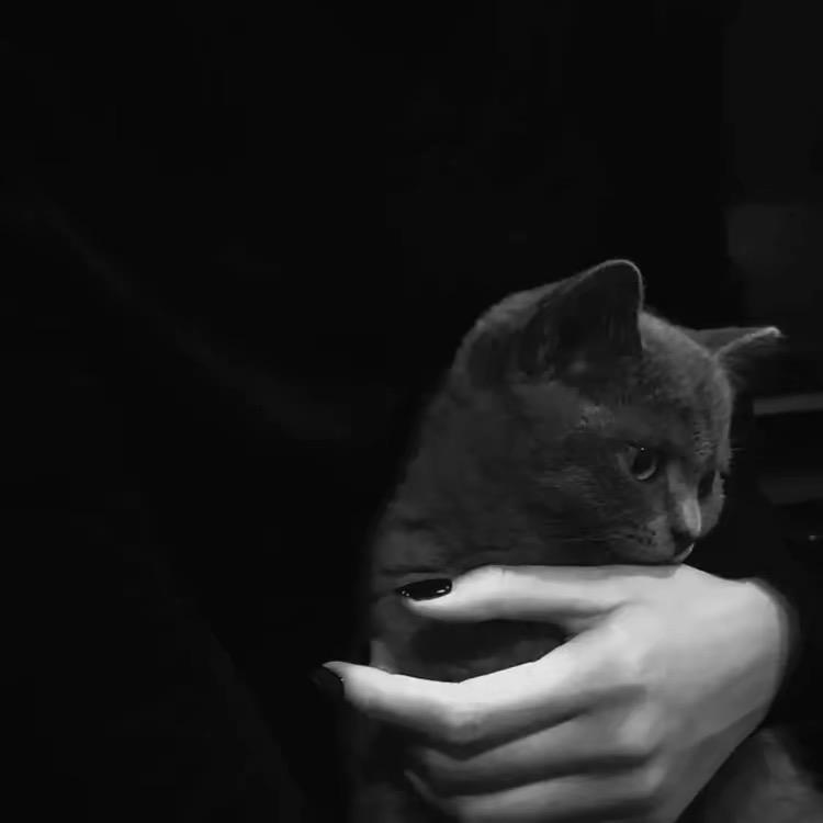♠️予