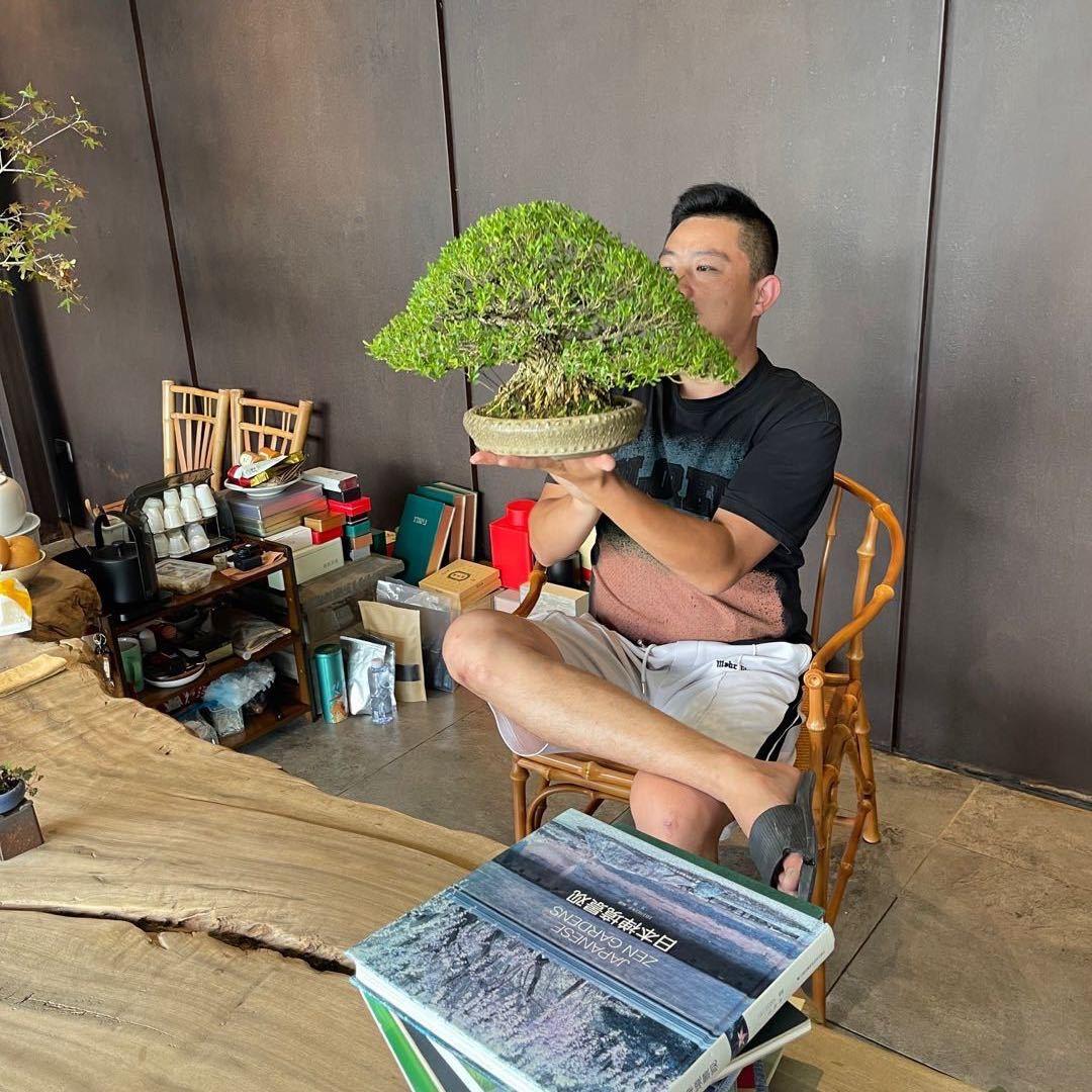 裕盛园盆栽